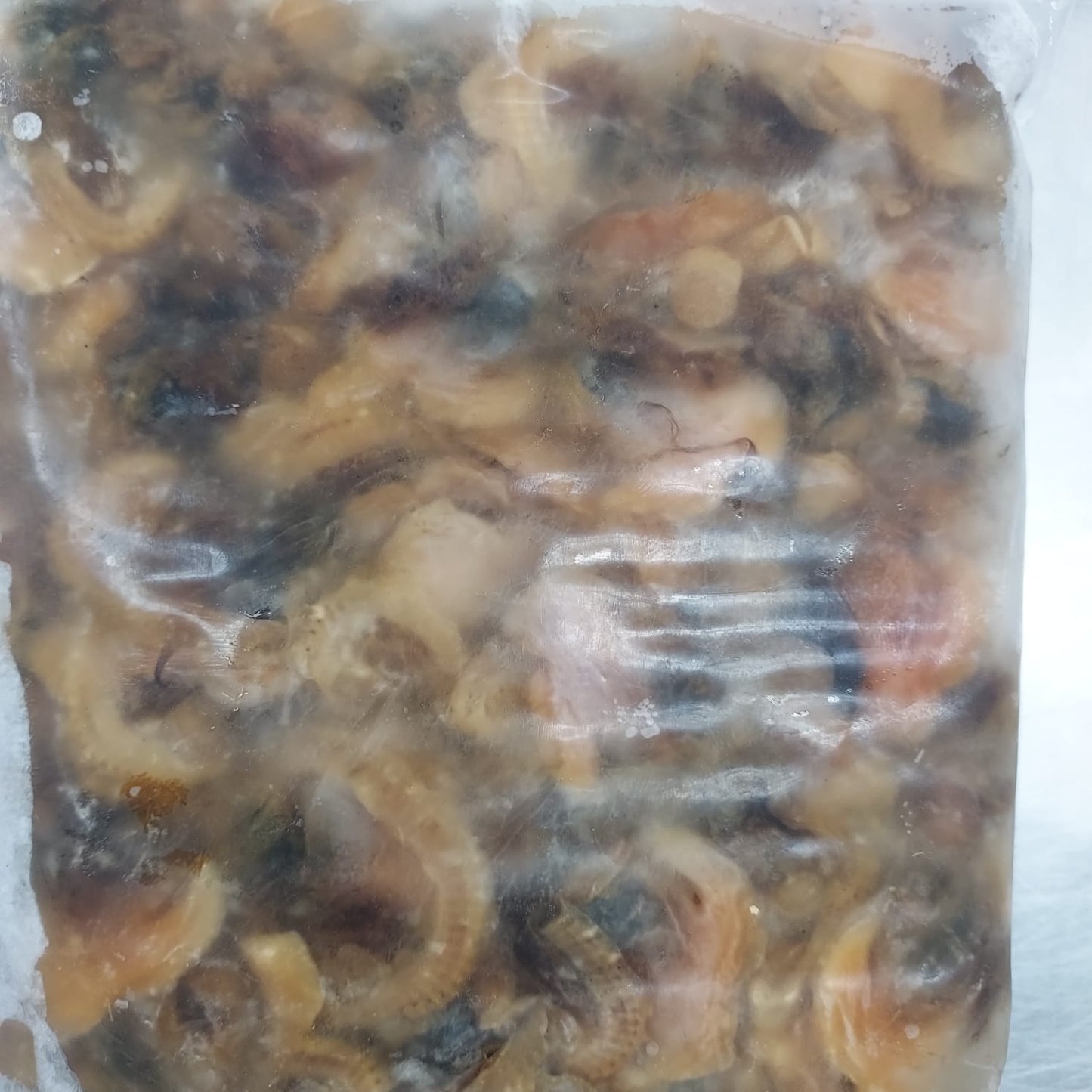 JOHAS MAKMUR KERANG CLAMS 500G